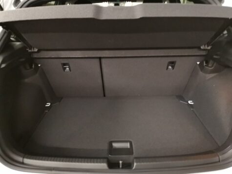 VW – Polo 2.0 TSI GTI DSG