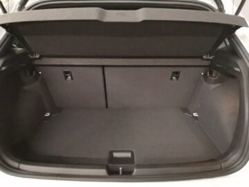 VW Polo 2.0 TSI GTI DSG