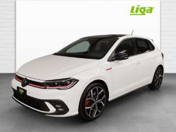 VW Polo 2.0 TSI GTI DSG