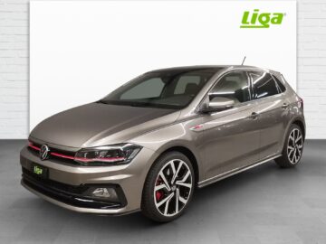 VW Polo 2.0 TSI GTI DSG