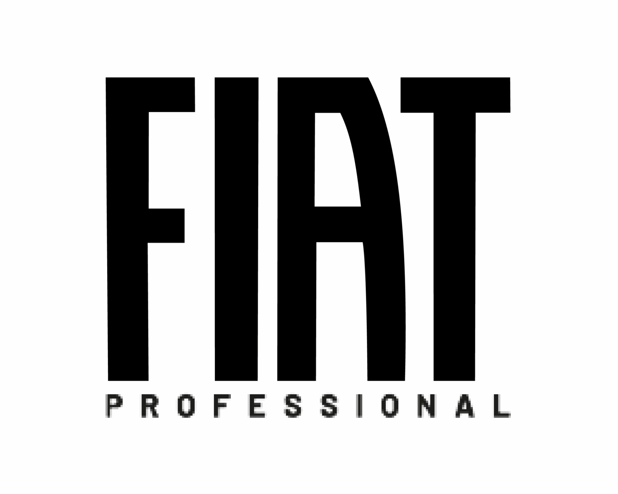 FIAT PROFESSIONAL